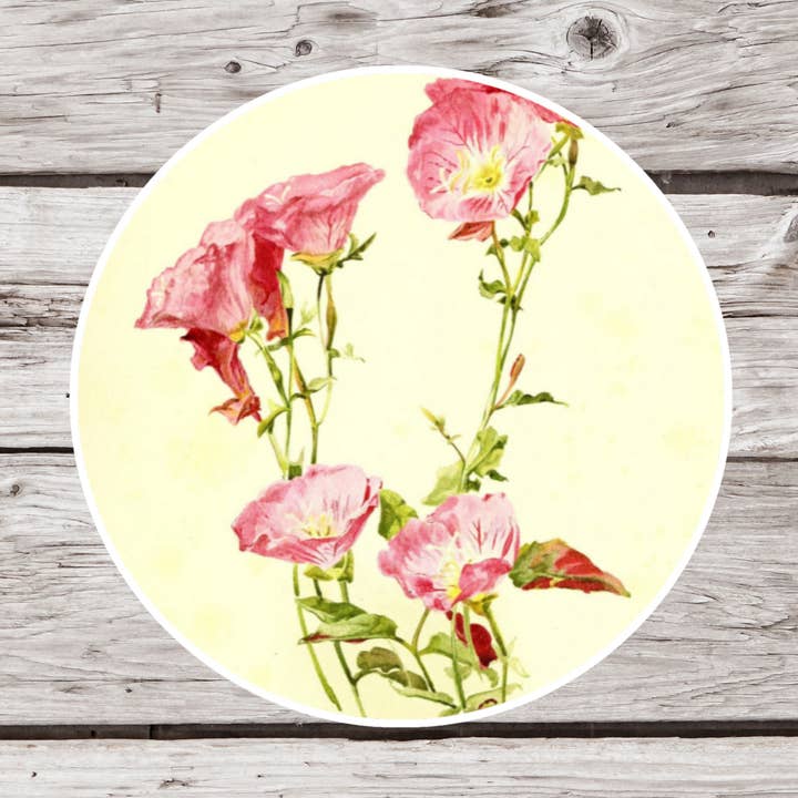 Pink Evening Primrose Sticker, Botanical Sticker, Rose for wholesale by NatureCuts