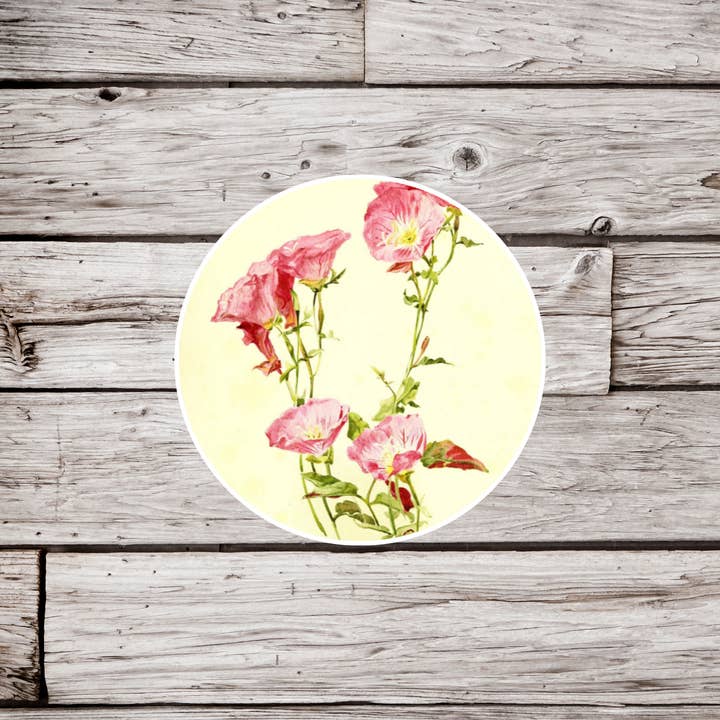 Pink Evening Primrose Sticker, Botanical Sticker, Rose for wholesale by NatureCuts