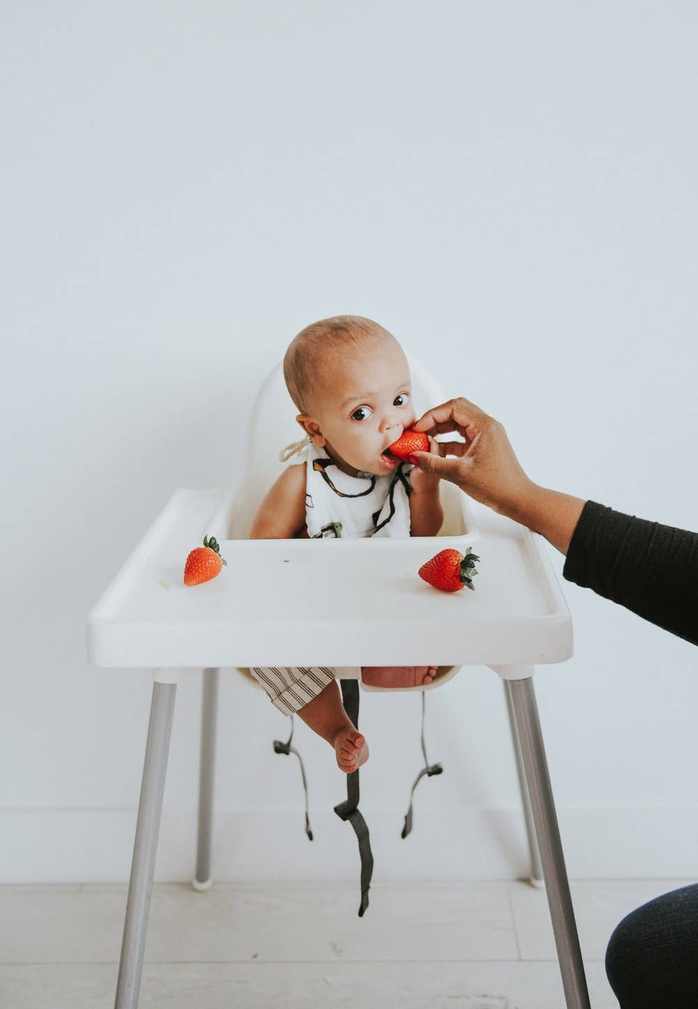 Clementine Kids - Wholesale Bib - Baby - Zoology and Specs Bib Pack3