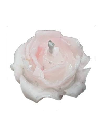WHITE ROSE for wholesale by El Alquimista