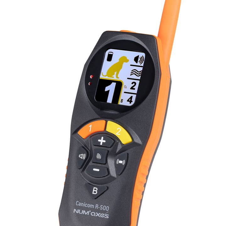 NUM'AXES – Großhandel Haustierpfeife – Hund – CANICOM-R 500 wiederaufladbares Hundetrainingsset