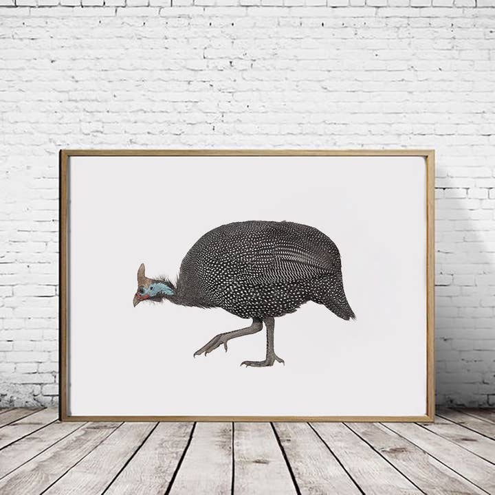 Guineafowl - A2/A1 Print (landscape) for wholesale by Hidden Planet