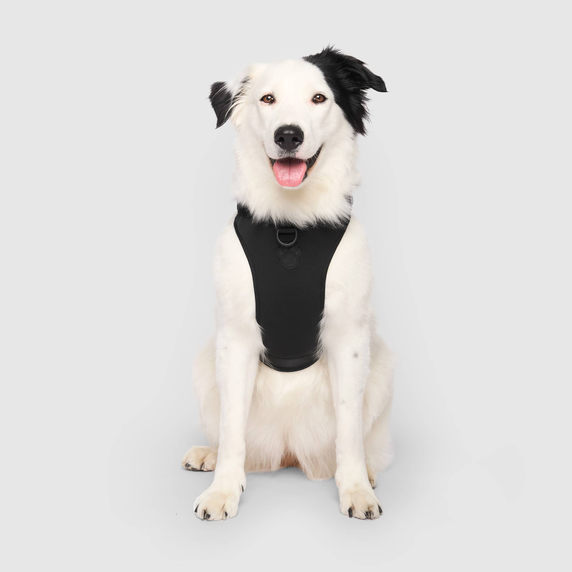 Canada Pooch - Wholesale Pet Harness - Dog - Everything Neoprene Harness- Dog Harness0