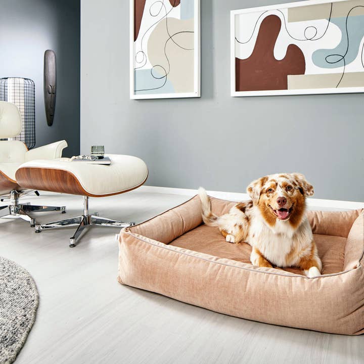 LABONI - Volentis GmbH - Wholesale Pet Bed - Dog - ORTHO PET BED GLAM12