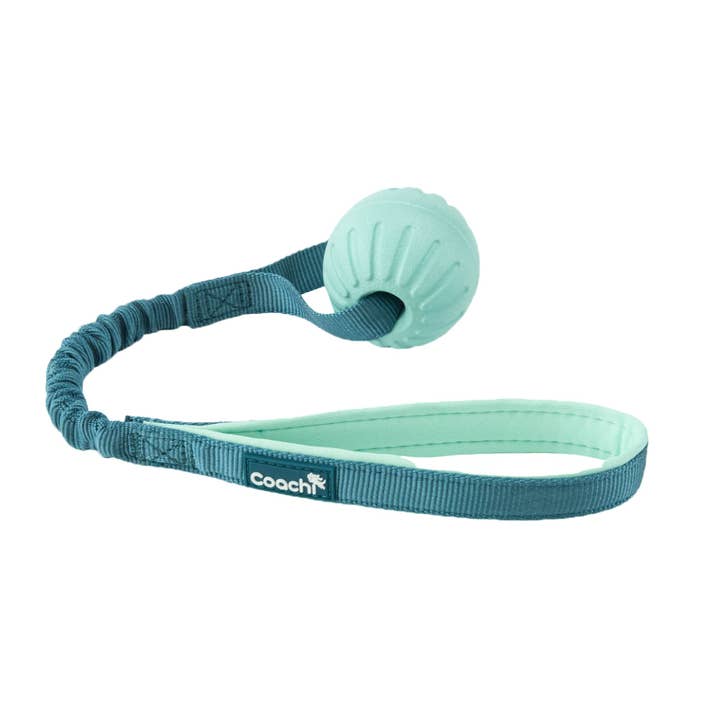 Coachi Puppy & Mini Tuggi Ball Teal & Mint for wholesale by Company of Animals