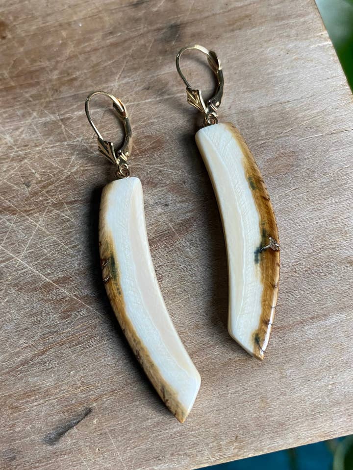 Naturliga Tusk örhängen för wholesale av Ivory Jacks