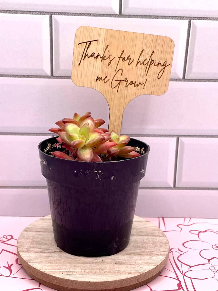 Piquet à plantes gravé pour la vente par Running Flamingo Designs