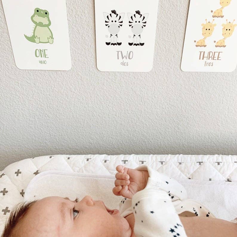 GoodnightFox – Großhandel Lernkarten – Kind & Baby – Karteikarten zählen7