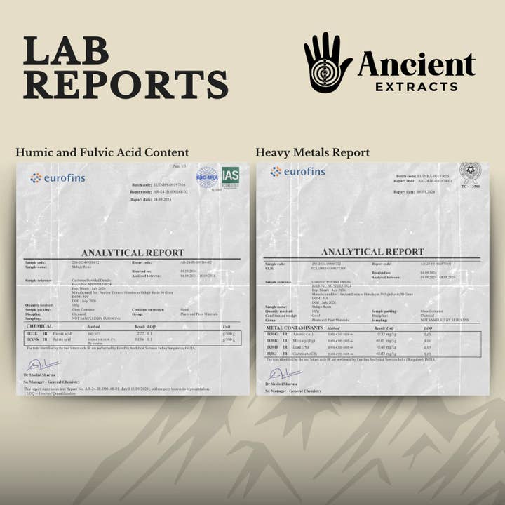 Ancient Extracts Ltd – wholesale Protein/superfood powder – Shilajit Pair - Organic Resin and Powder - 80% Fulvic Acid5