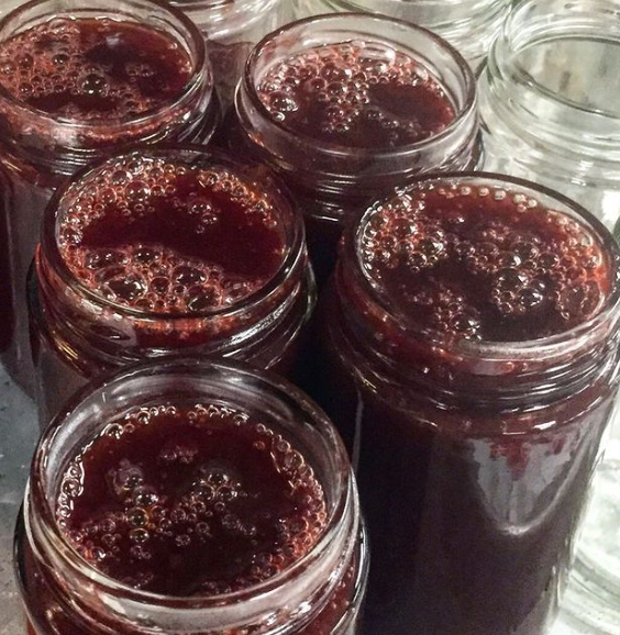 Josephine's Feast - Wholesale Preserves - AAward Winning Wild Foraged Beach Plum Preserves9