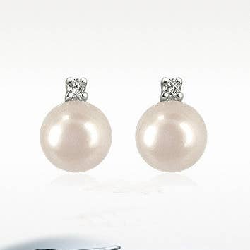 OC 007-ELLER 310015- for engroshandel hos STEFANO PATRIARCHI