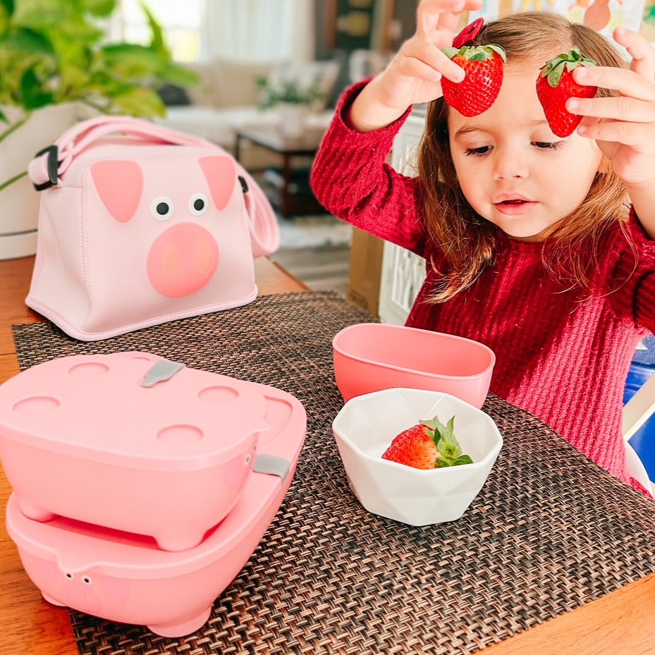 Prince Lionheart - Wholesale Lunch bag/box – Kids - Bentomal ® To Go Bento Box and Carry Bag Lunch Box Container1