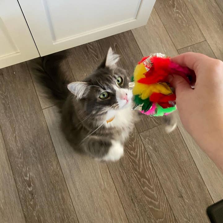 CanCor Innovations Inc. - Wholesale Pet Toy - Cat - Jumbo Crinkle Ball 12 per bag