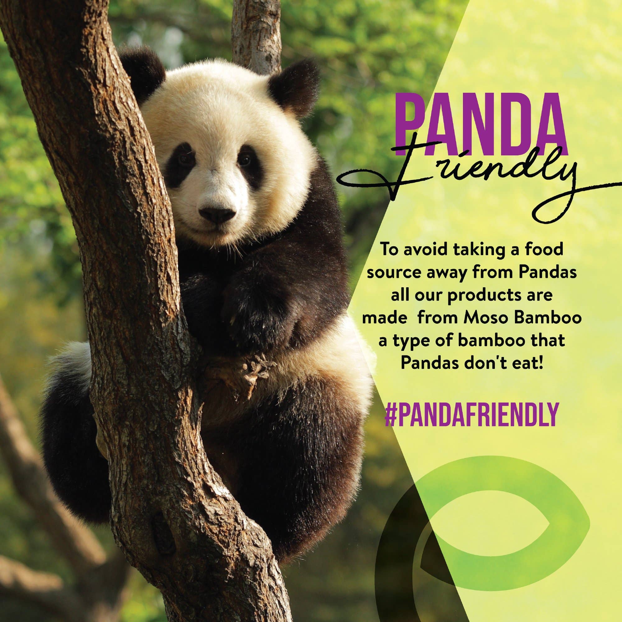 Blanc Bourgeons en bambou - Tampons en coton écologiques EcosDLURP en vente sur Faire10