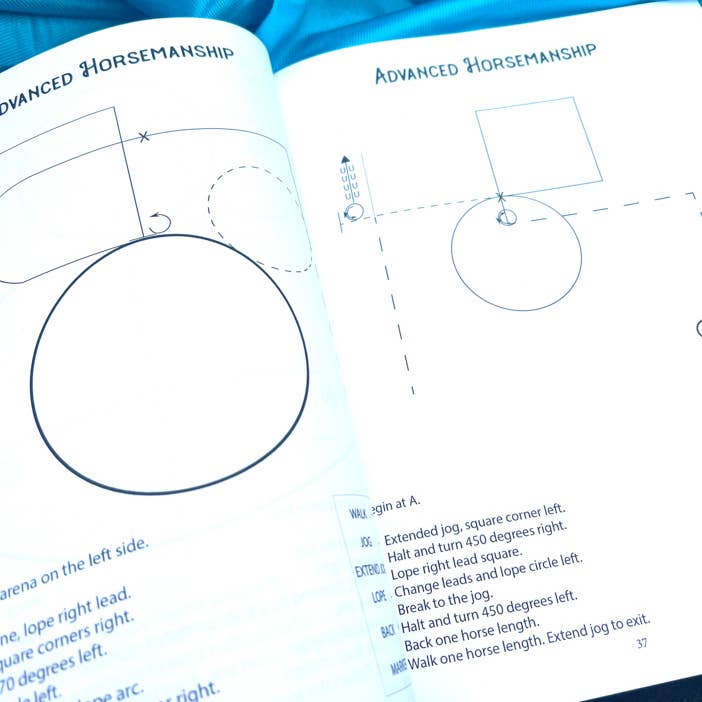 Circus Unicorn Shop - Wholesale Sports & Recreation Book - Western Riding Lessons & Activities6