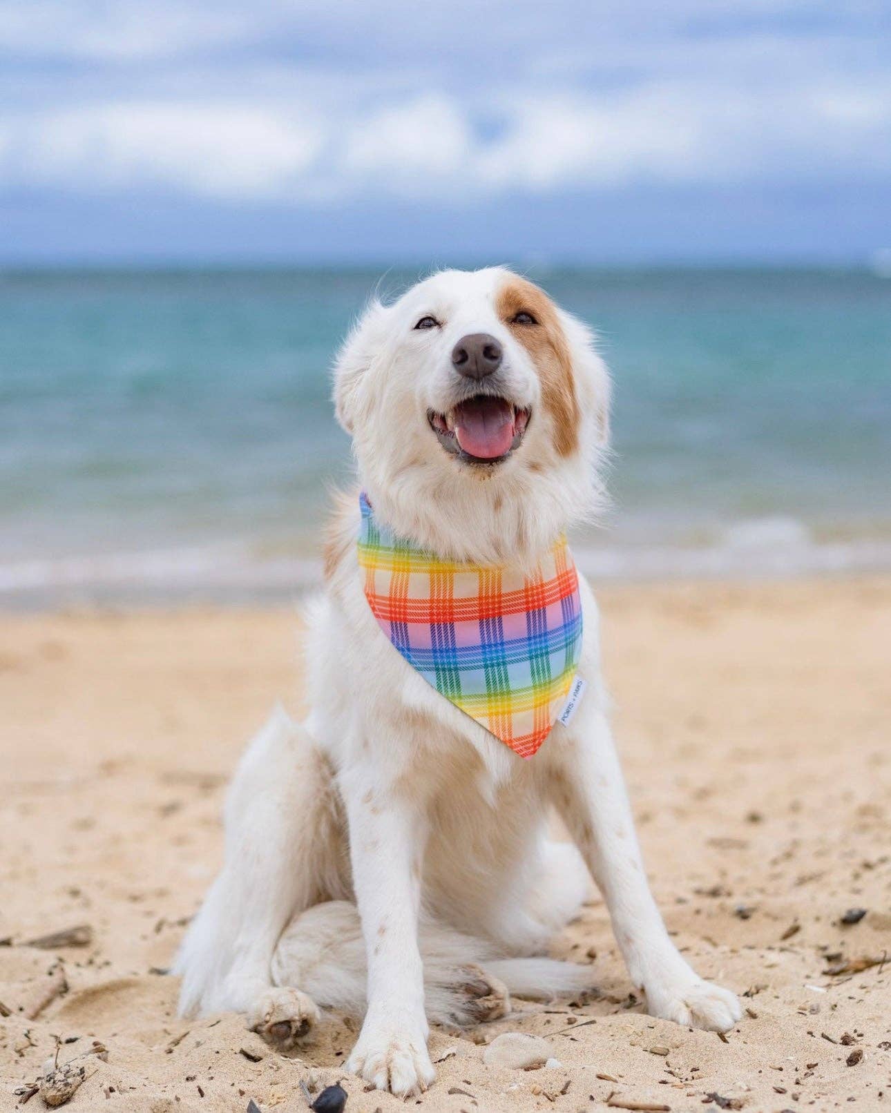 Ports and Paws – wholesale Pet bandana – Dog – QUICK DRY BANDANA - PALAKA RAINBOW2