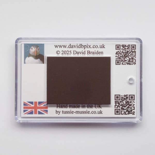 David B Pix – wholesale Magnet – Puffin Magnet Combo1