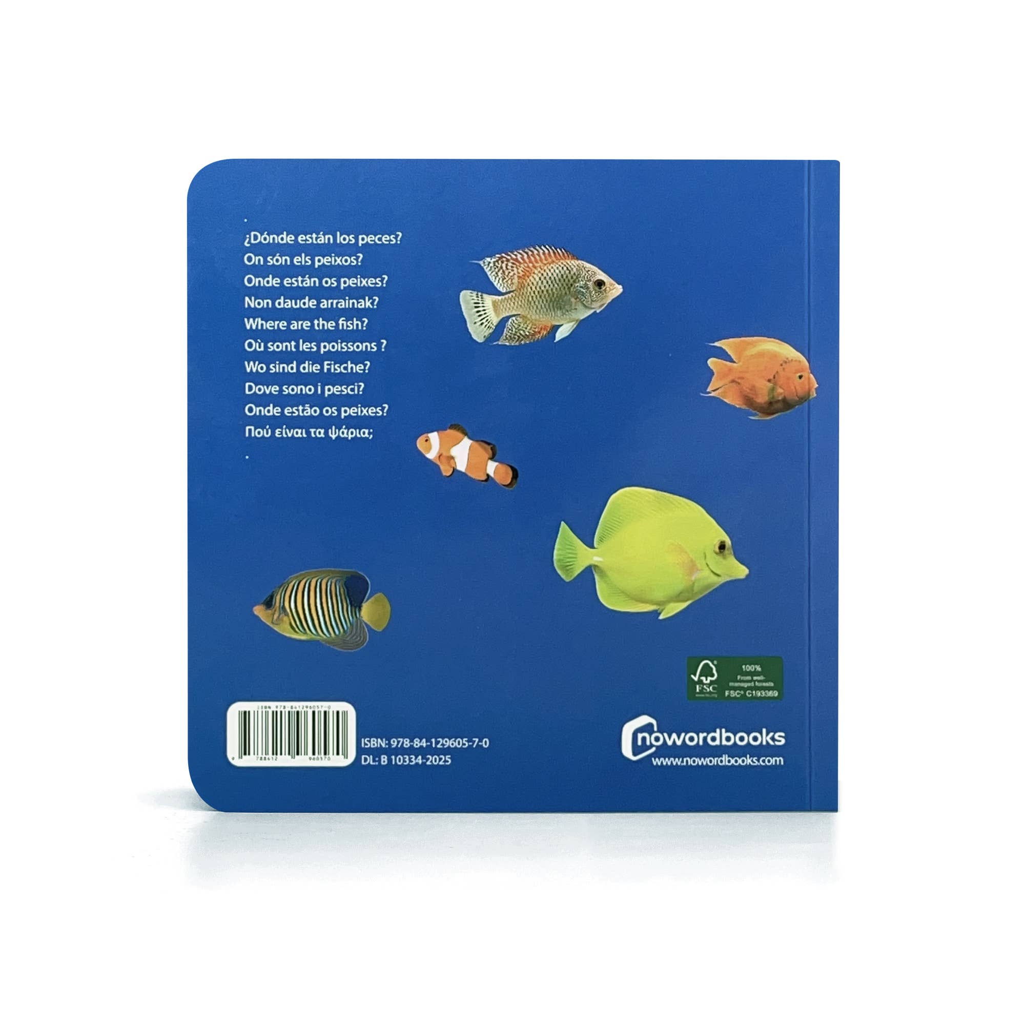 Nowordbooks - Wholesale Baby & Toddler Book (0-2) - Where Are the Fish? - Wordless Photo Book NWB0572
