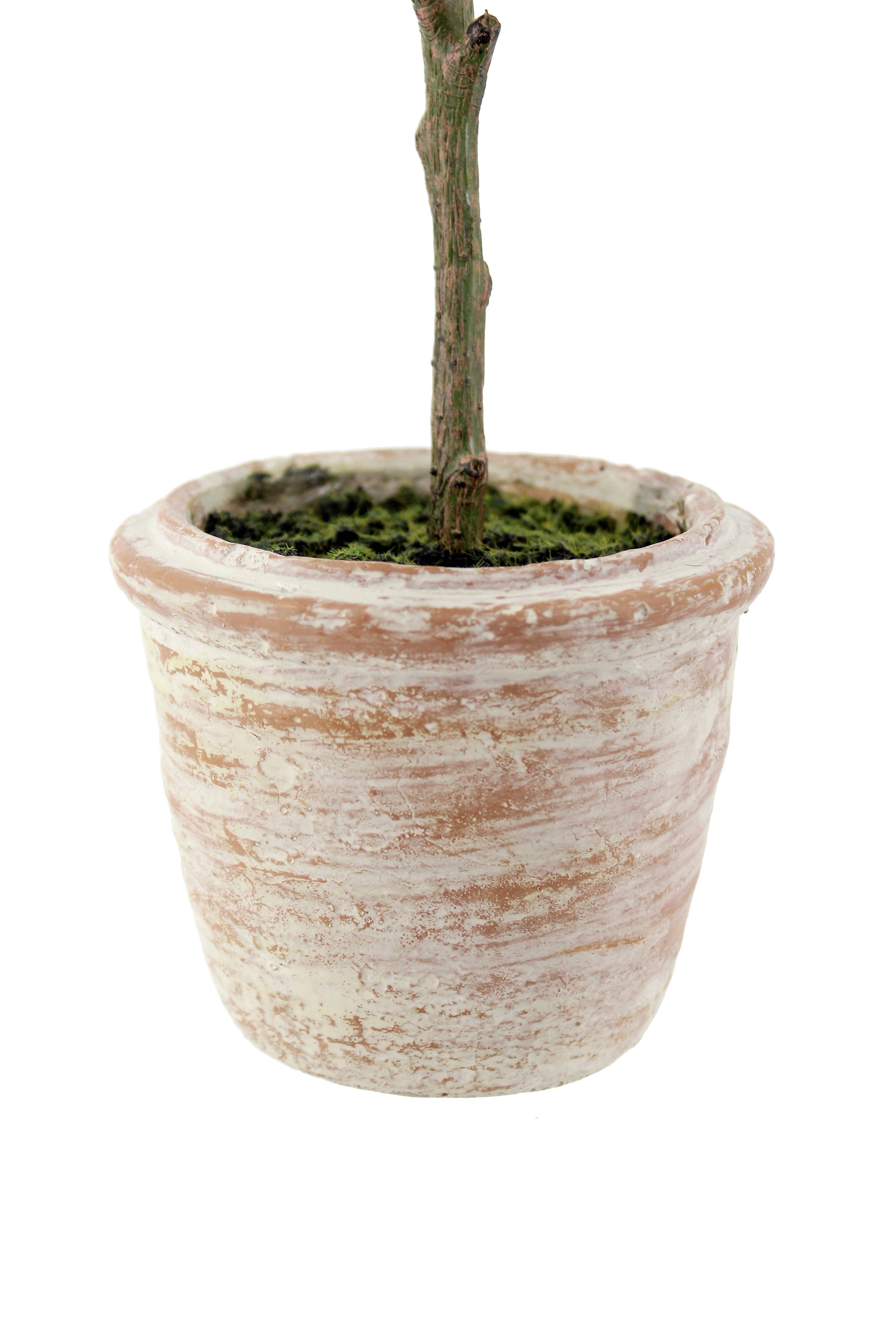 CG Hunter - Wholesale Artificial Plant - 12" Rosemary & 16" Olive Topiary Set3