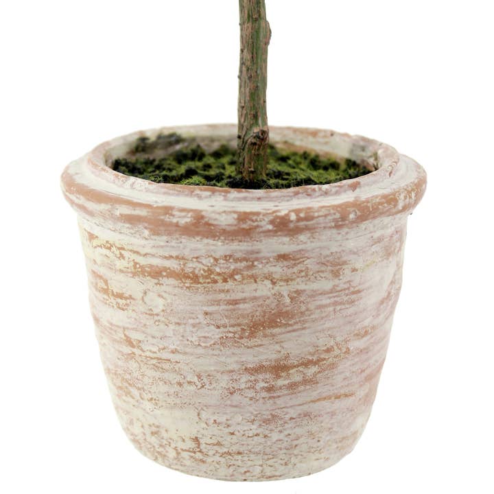 CG Hunter - Wholesale Artificial Plant - 12" Rosemary & 16" Olive Topiary Set3