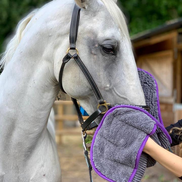 Henry Wag - Wholesale Pet grooming aid – Not cat/dog - Henry Wag Equine Microfibre Noodle Glove Towel1