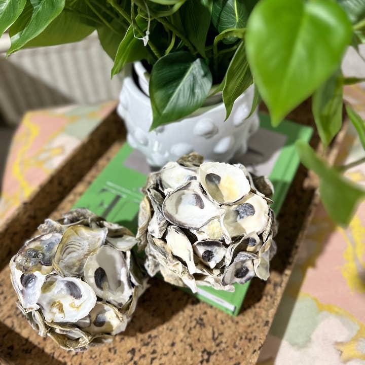 Auden & Avery - Wholesale Decorative Tabletop Object - Oyster Shell Balls4