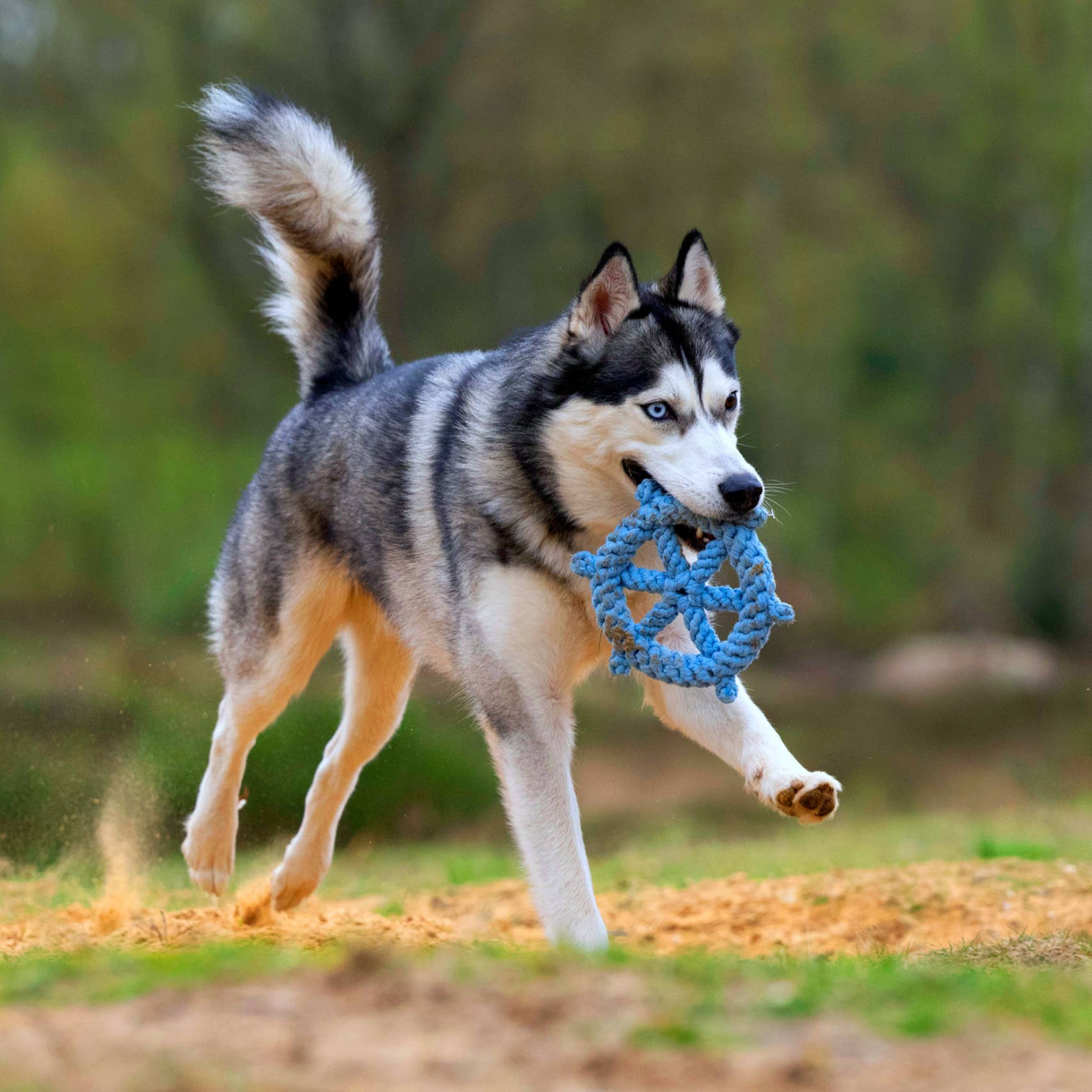 LABONI - Volentis GmbH - Wholesale Pet Rope Toy - Dog - SKIPPER – A Fresh Breeze of Fun1