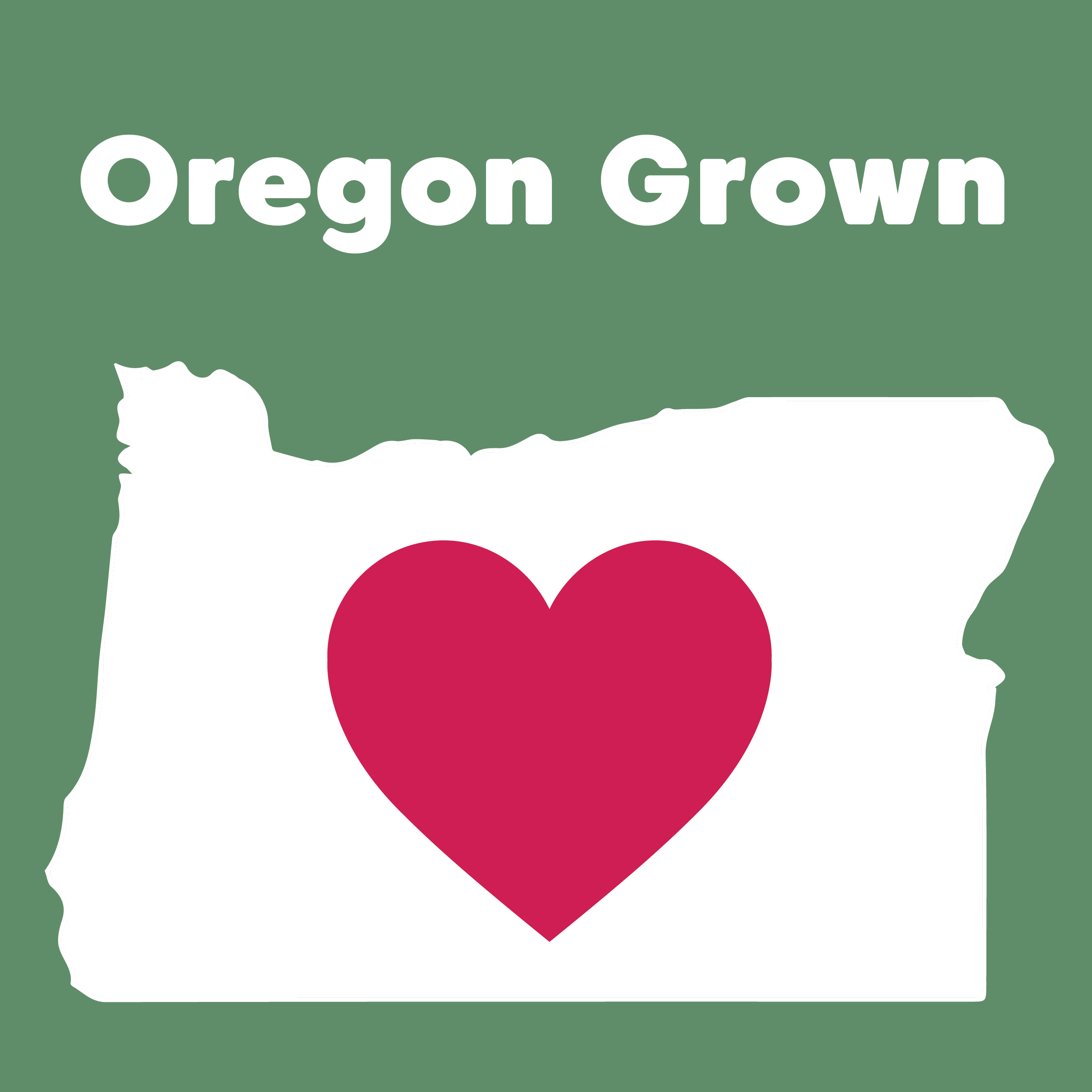 Wilderness Poets - Wholesale Seeds/Kernels - Organic Oregon Pumpkin Seeds5