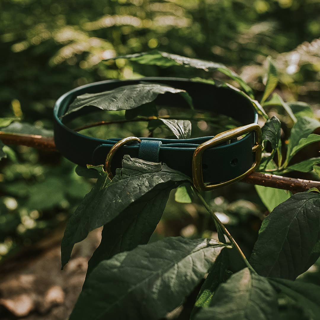 FoxMoth - Wholesale Pet Collar - Dog - Modern Waterproof Biothane Dog Collar [All 17+ Colors]31