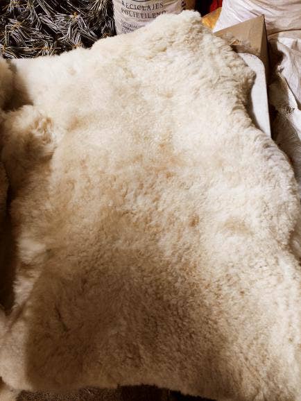 Prima de Sur - Vendita all'ingrosso Tappeto - Tappeti in pelle di pecora bianca (M)6