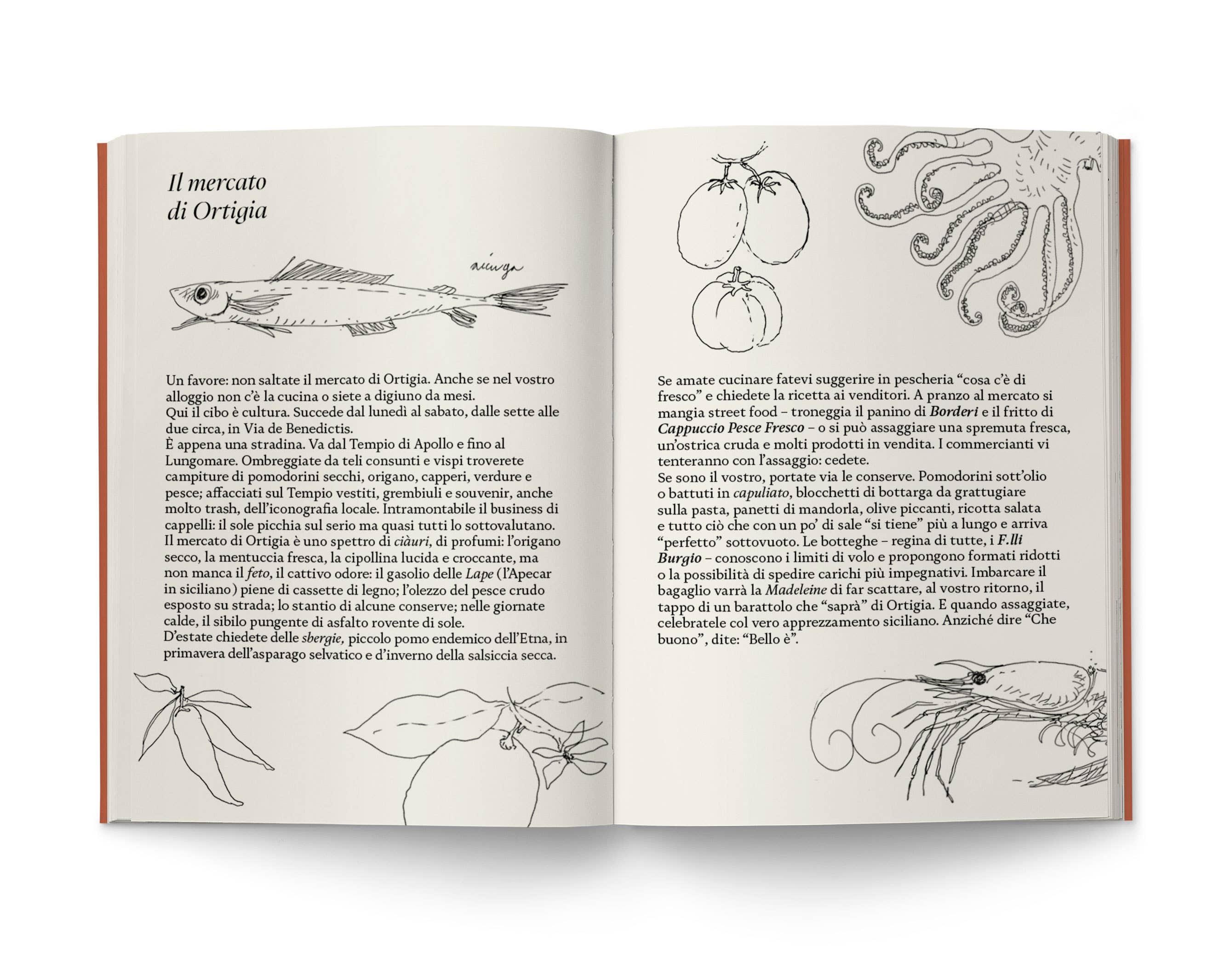 Cirnauti – wholesale Resebok – Ortigia – En ö för ljus och sol med utsikt över havet2