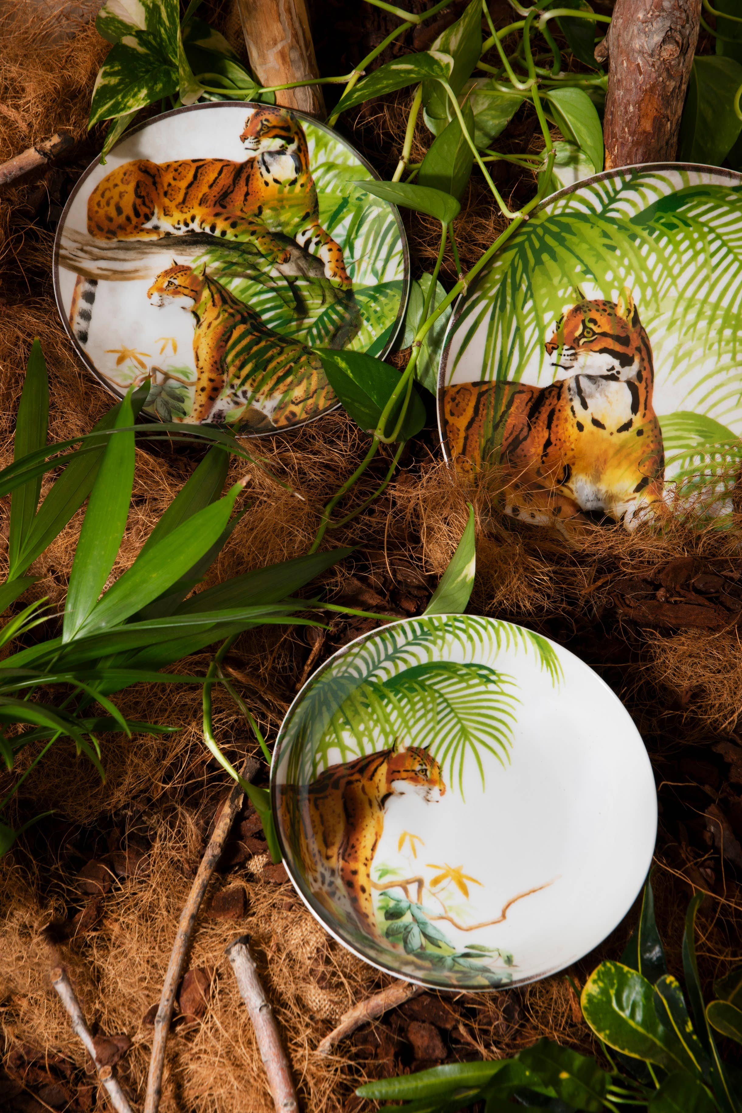 multicolour 18 Leopard Plate Set for wholesale on Faire3