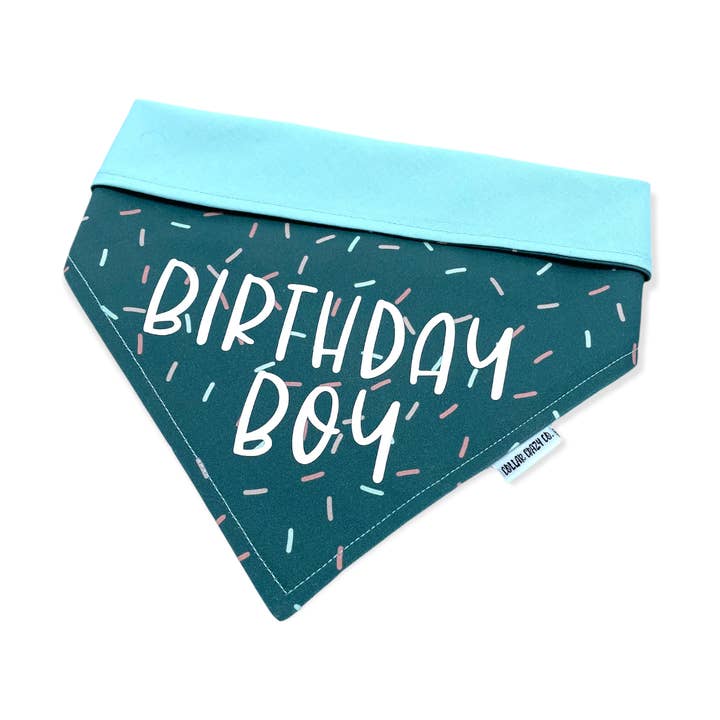 Birthday Boy Snap On Dog and Cat Bandana for wholesale by Collar Crazy Co.