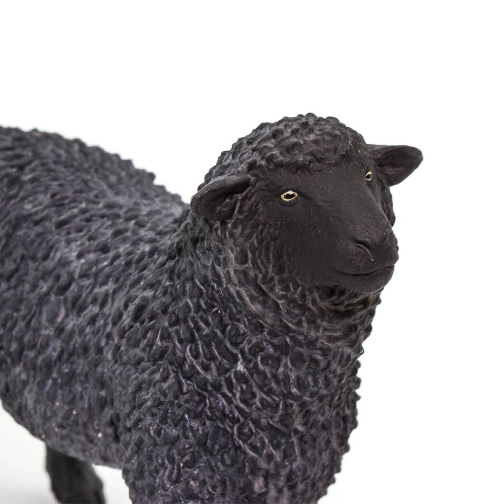 Safari Ltd. - Wholesale Figurine Toy - Kids - Black Sheep Figurine Toy - Kids5