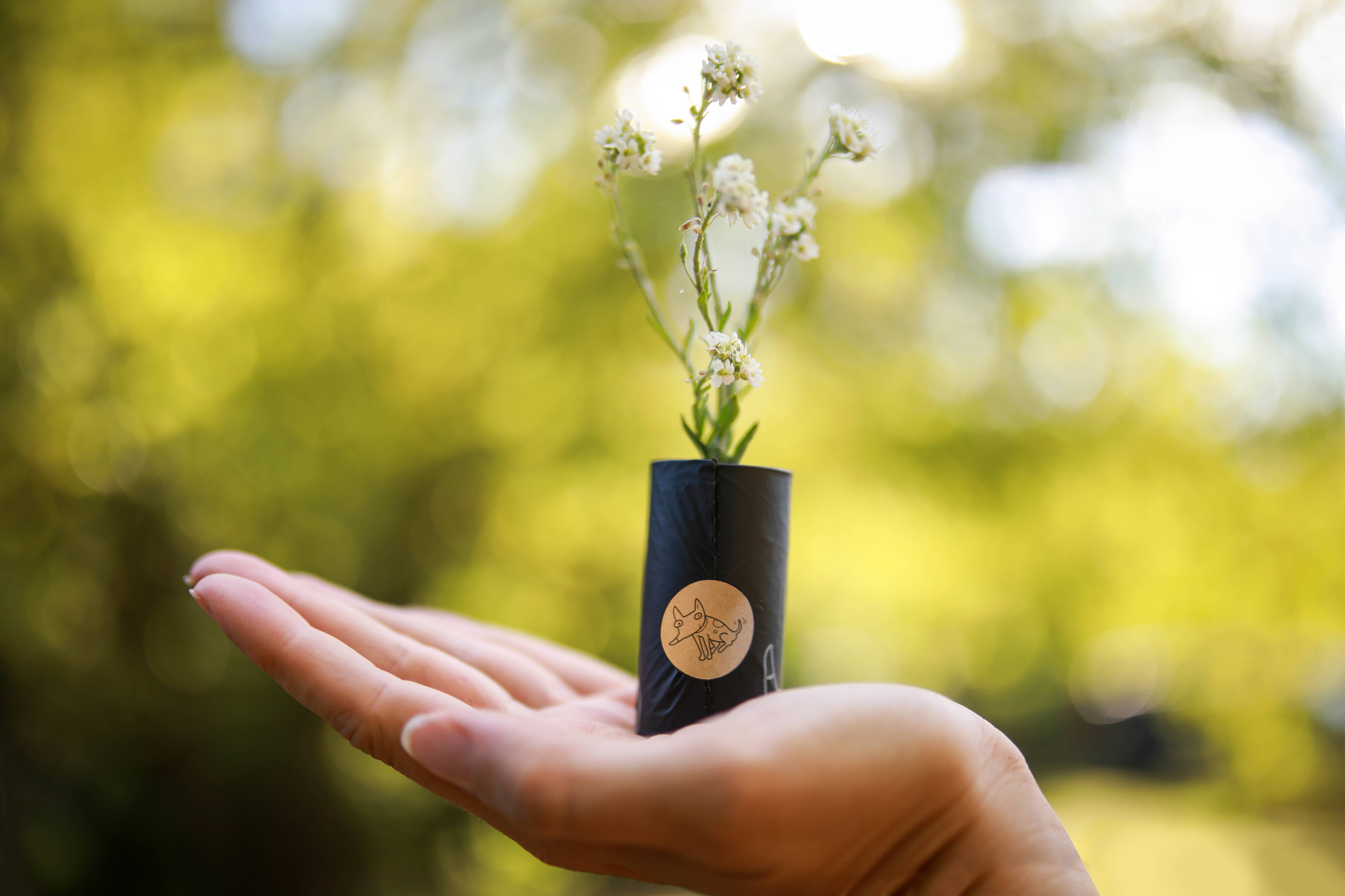 The Sustainable People - Wholesale Pet Poop Bag - Biodegradable Dog Poop Bags (200 loose rolls)10