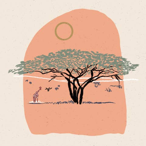 Walker Noble Studios - Venta al por mayor Ilustración - Impresión Safari