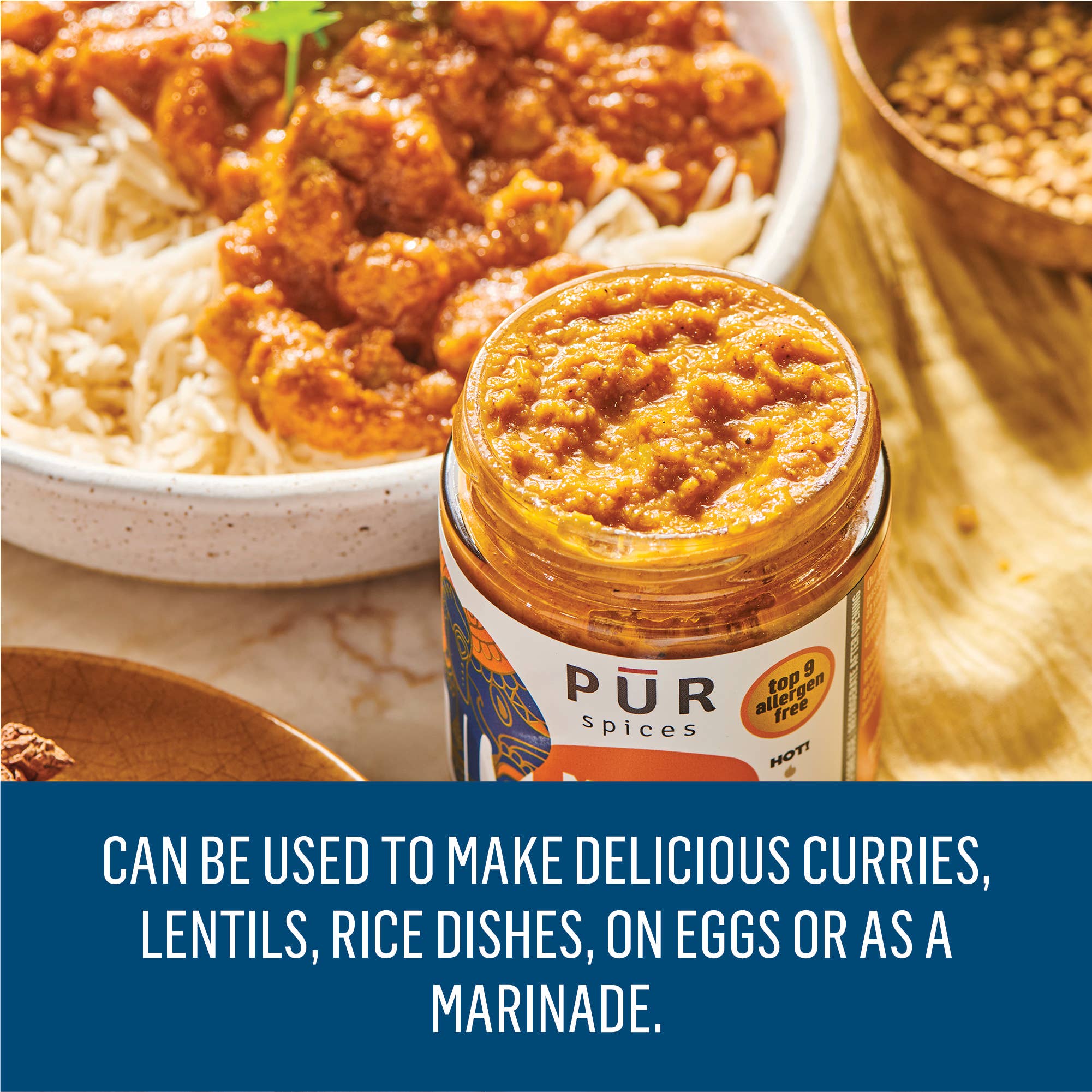 PUR Spices - Wholesale Sauce - Masala Paste - 6oz3