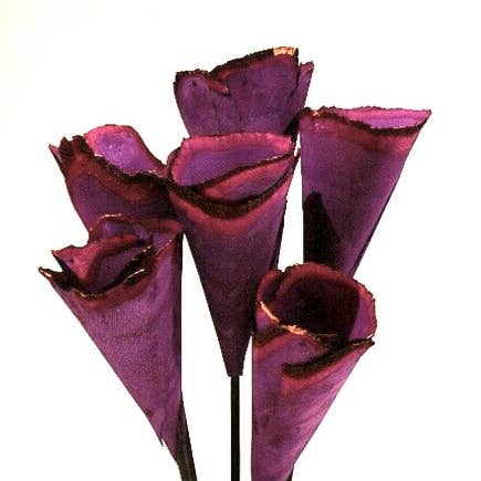 Botanico Ltd. – wholesale Artificial flowers – Wood Cones3