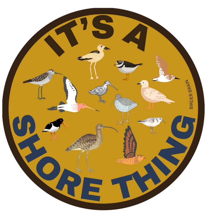 Birder Brain - Wholesale Sticker - It's a Shore Thing (Shorebirds)