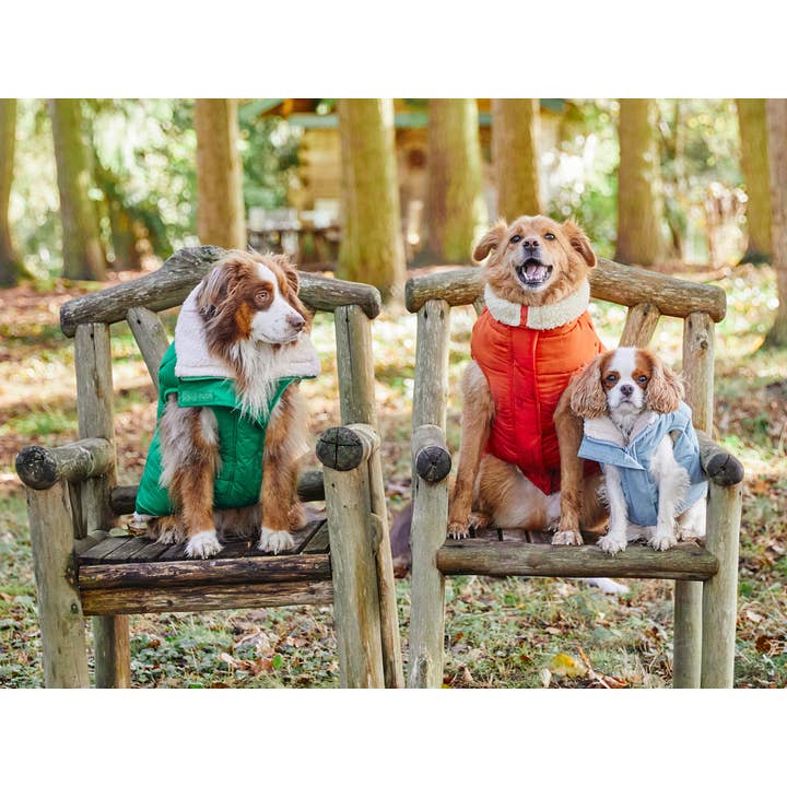 French Bandit - Wholesale Pet Coat - Dog - Thick dog jacket2