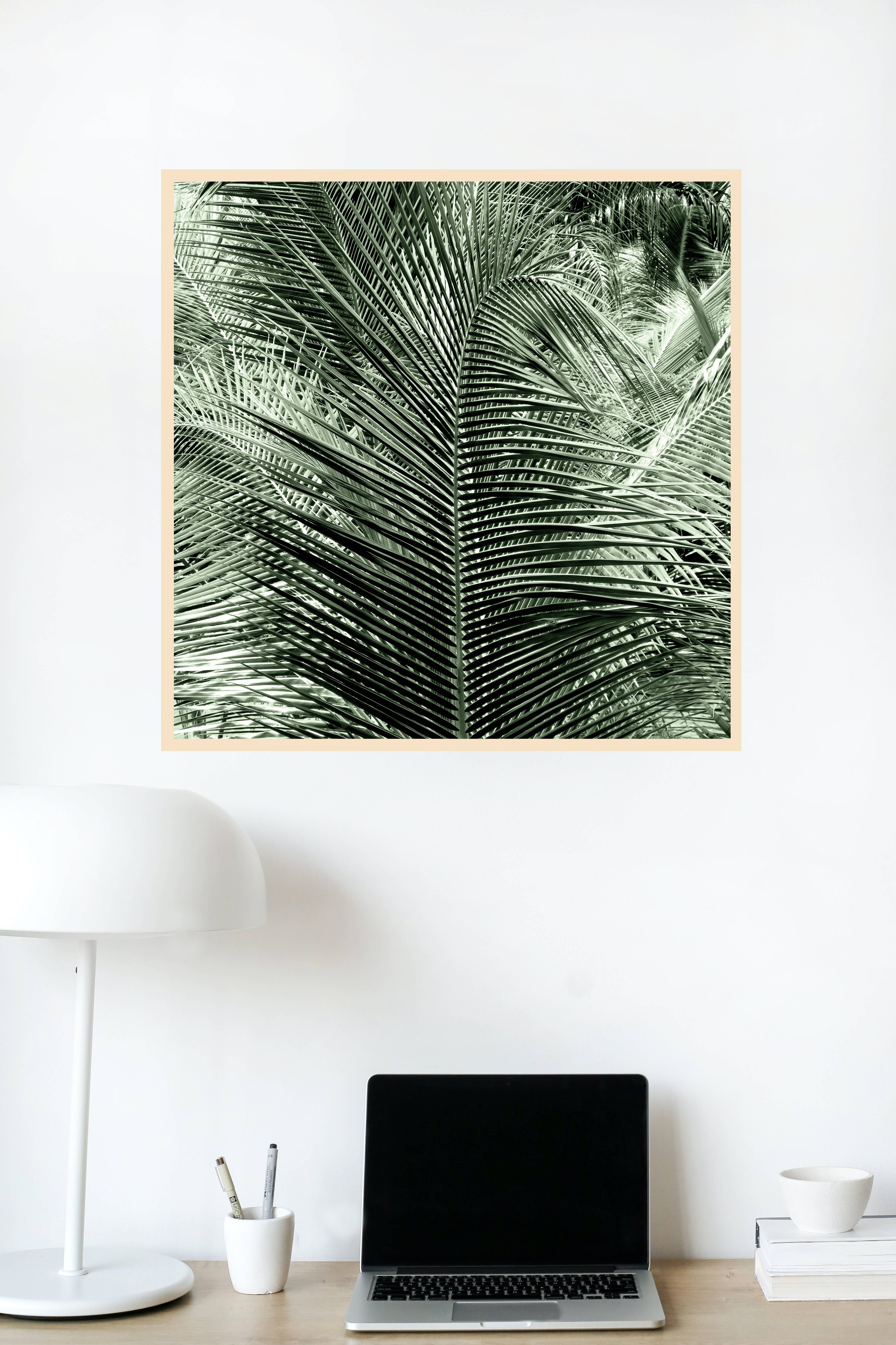 Veni Etiam Photography - Wholesale Art Print - Palm Tree Boho Wall Art5