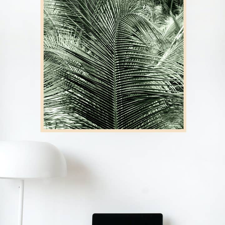 Veni Etiam Photography - Wholesale Art Print - Palm Tree Boho Wall Art5