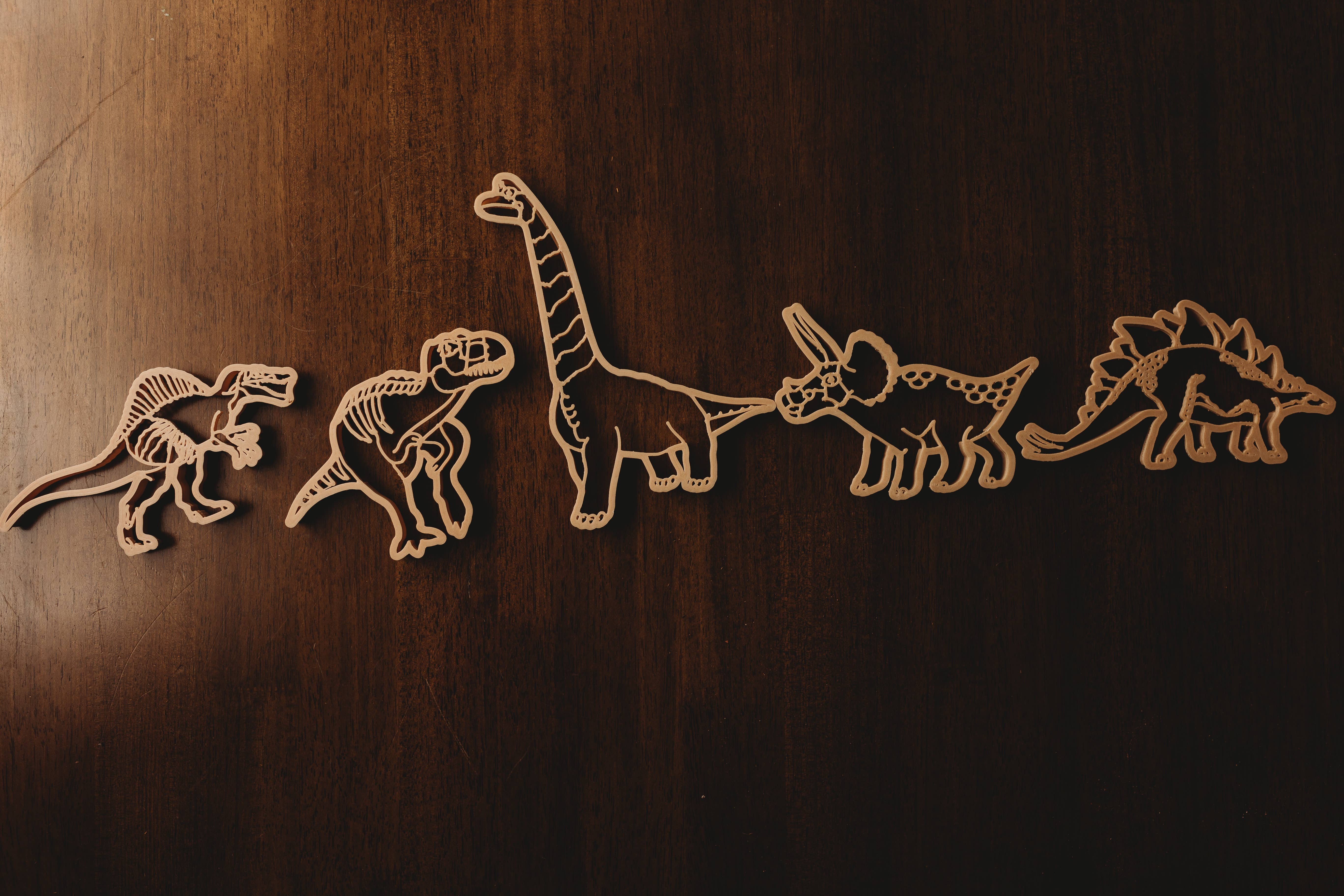 Kinfolk Pantry - Wholesale Toy Set - Kids - Spinosaurus Cutter - Dinosaur Eco Playdough Tool3