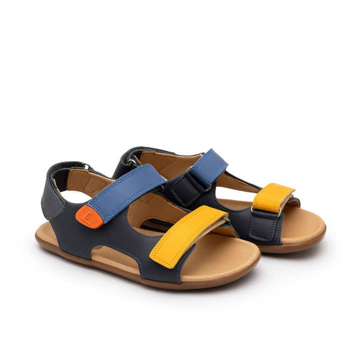 Explorer (Navy/Caja/Blue Tang) for wholesale by Tip Toey Joey