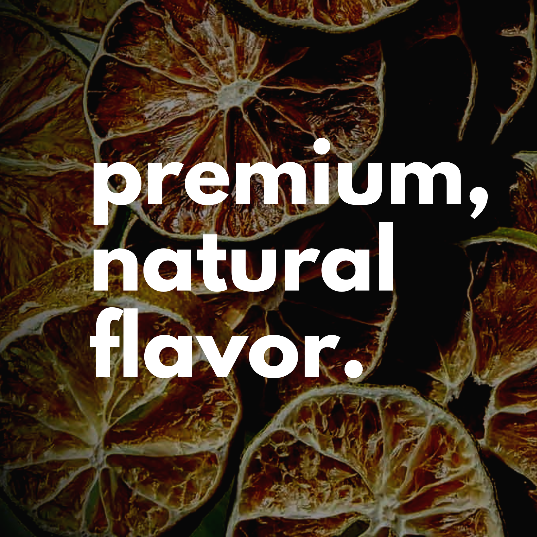 Speakeasy Premium Craft Cocktail Garnishes – Fruta seca/desidratada por atacado – 1 LIBRA – Fatias de Laranja Desidratadas (Aprox. 250 Fatias)7