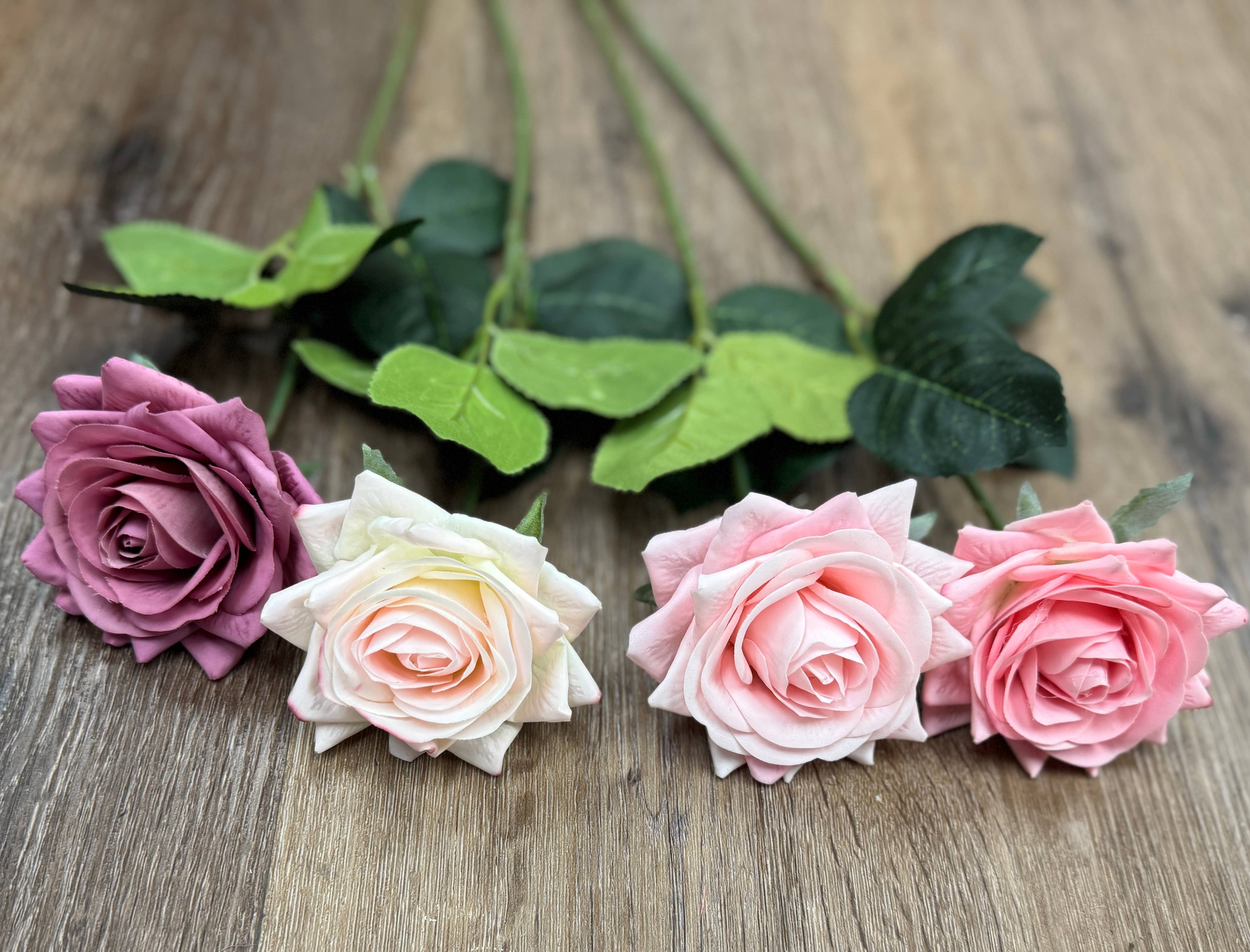 Angel Isabella - Wholesale Artificial Flowers - Pack of 50 stems-Ultra Realistic Rose-17"4