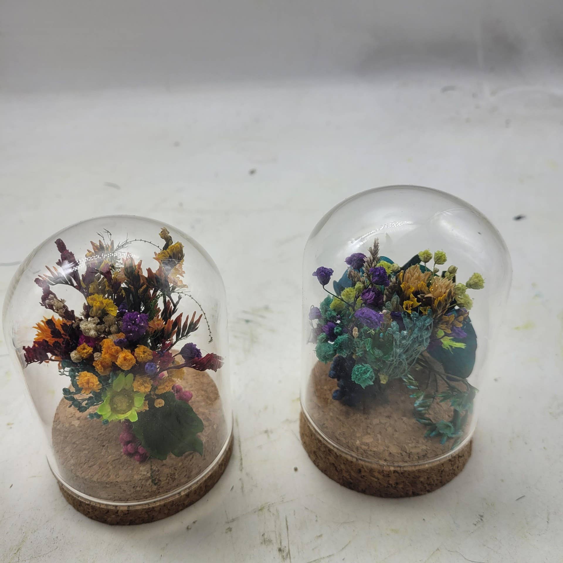 au detour du monde – wholesale Terrarium – Mini Terrarium Stabiliserad S2