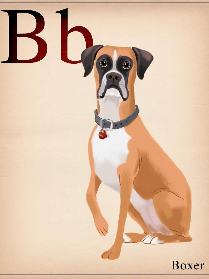 Dogs A-Z: Boxer, tarjeta flash, impresión artística de perros para venta al por mayor de Brian Rubenacker studios