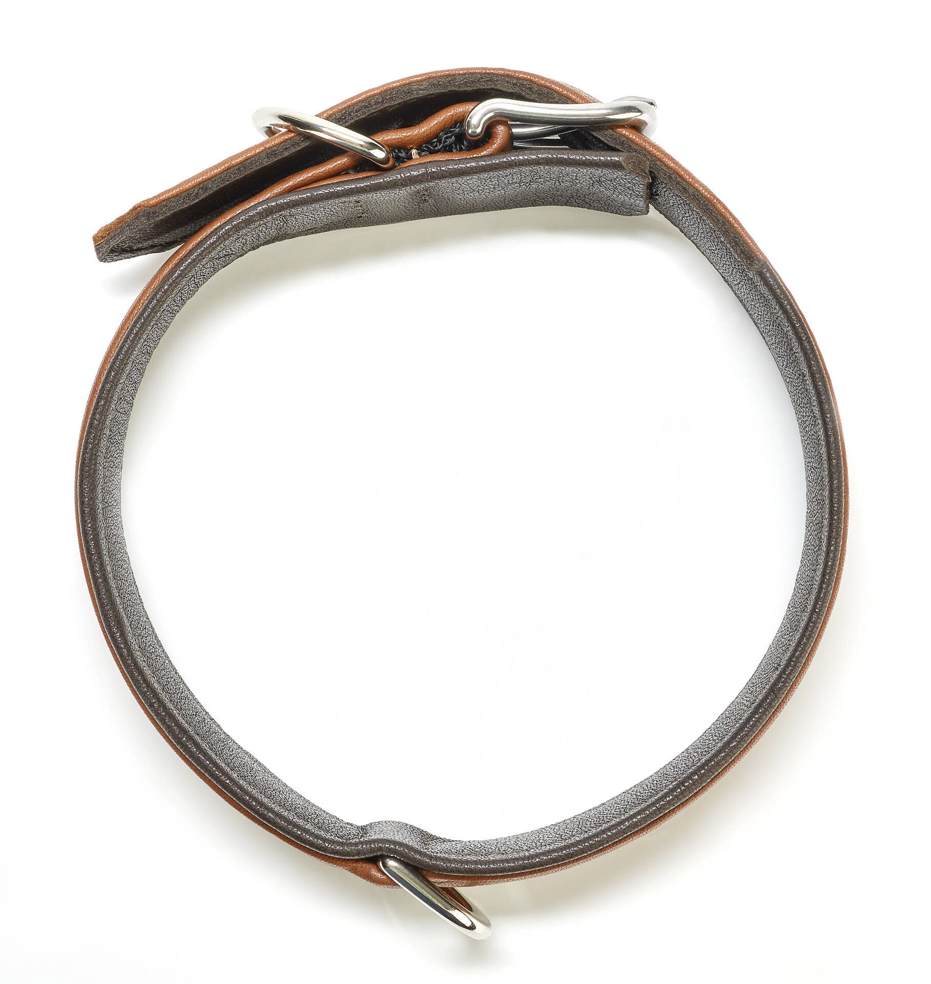 LABONI - Volentis GmbH - Wholesale Pet Collar - Dog - AMICI dog collar7