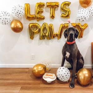 Dog Cake Bakery LLC - Wholesale Pet Treats - Dog - Dog Cake | Dog Birthday Cakes | Birthday | Bone Cake | Blue5